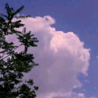 疯狂传奇2破解版下载